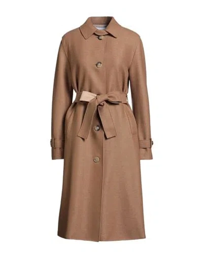 Harris Wharf London Woman Coat Camel Size 6 Virgin Wool In Neutral