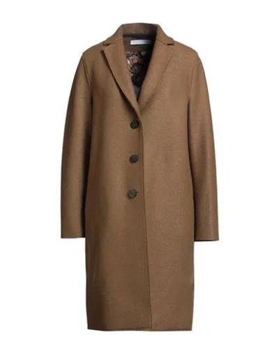 Harris Wharf London Woman Coat Camel Size 8 Virgin Wool In Neutral