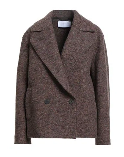 Harris Wharf London Woman Coat Chocolate Brown Size 8 Wool In Gray