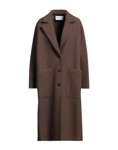 Harris Wharf London Woman Coat Dark Brown Size 6 Virgin Wool In 458 Teddy Brown