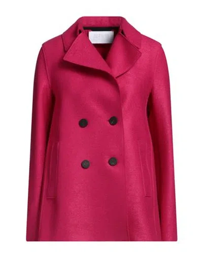 Harris Wharf London Woman Coat Fuchsia Size 8 Virgin Wool In Pink
