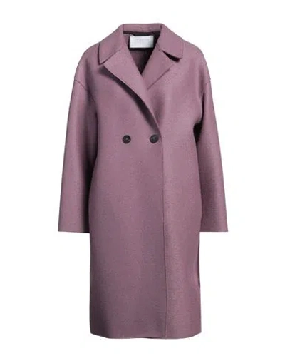 Harris Wharf London Woman Coat Mauve Size 4 Virgin Wool In Purple