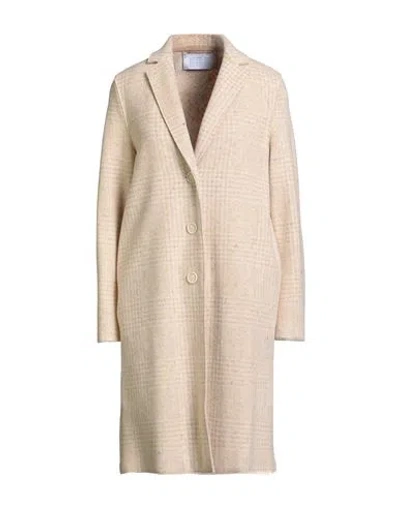 Harris Wharf London Woman Coat Pastel Yellow Size 10 Wool, Silk, Cotton, Viscose In Gray