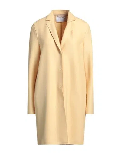 Harris Wharf London Woman Coat Pastel Yellow Size 6 Virgin Wool In Yellow