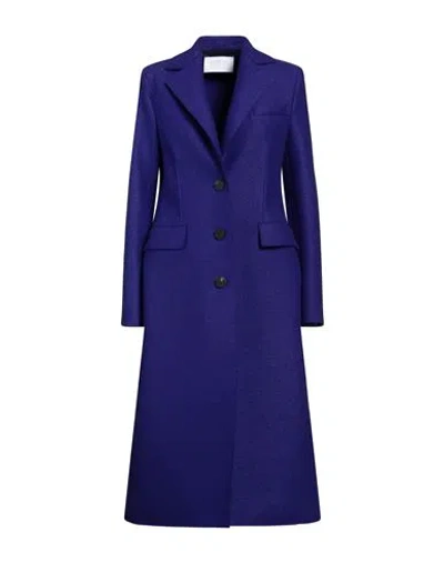 Harris Wharf London Woman Coat Purple Size 8 Virgin Wool