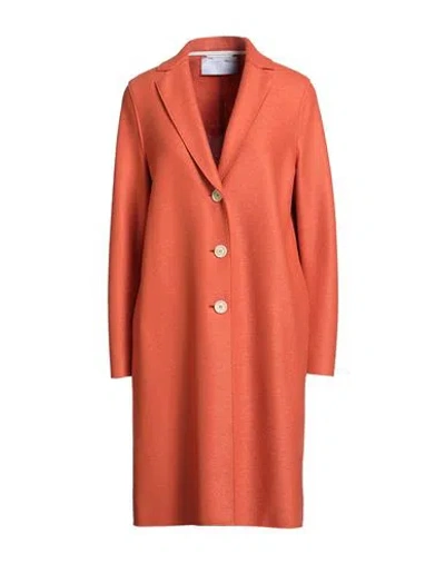 Harris Wharf London Woman Coat Rust Size 6 Virgin Wool In Orange