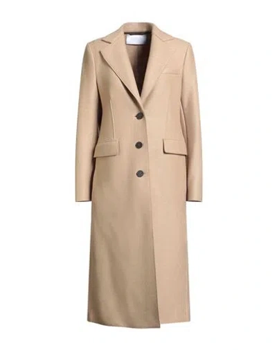 Harris Wharf London Woman Coat Sand Size 8 Virgin Wool In Neutral