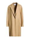 Harris Wharf London Woman Coat Sand Size 8 Virgin Wool, Cashmere In Brown