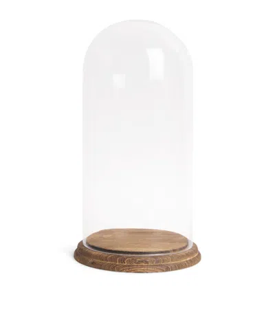 Harrods Glass Dome Ornament 40cm In Brown