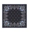 Harrods Silk Paisley Print Pocket Square