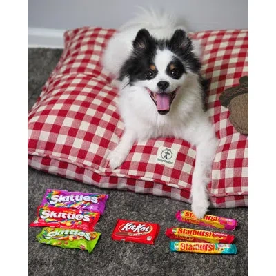 Harry Barker Buffalo Check Envelope Dog Bed In Red