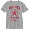 Harry Potter Boy's  Gryffindor Quidditch Team Seeker  Graphic T-shirt In Gray