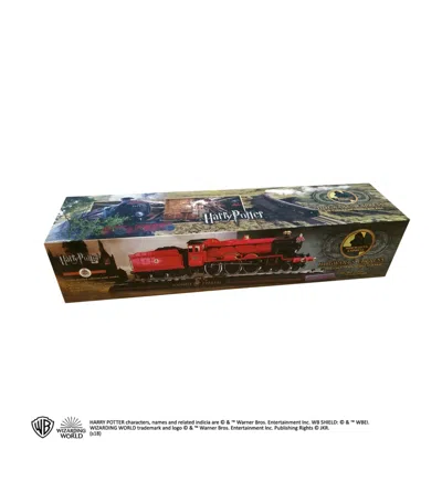 Harry Potter Kids' Hogwarts Express In Multi