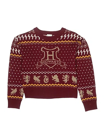 Pre-owned Harry Potter Kids' Pullover Sweater In Burgundy