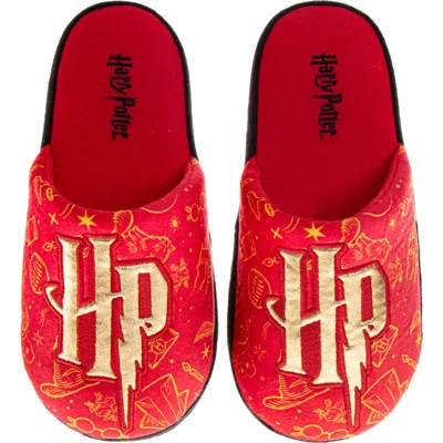 Harry Potter Slipper Little Kid In Red