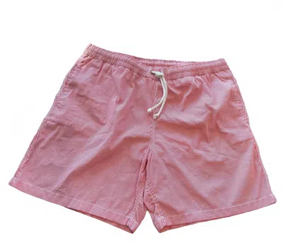 Hartford Men's Pinstripe Swim Short In Red In Pink