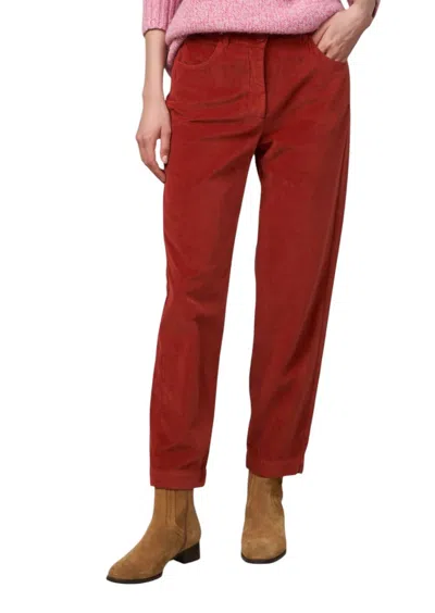 Hartford Pepite Velvet Pants In Spice In Red