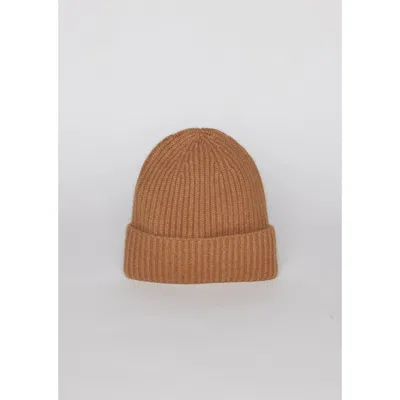 Hat Attack Cashmere Rib Beanie In Brown