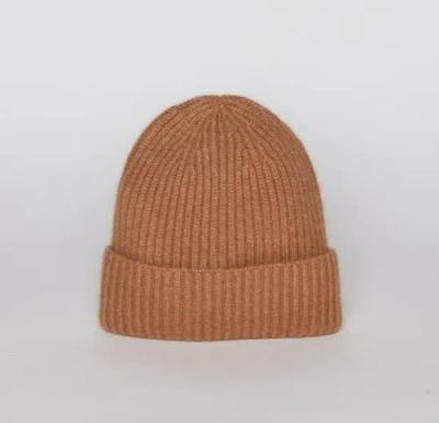 Hat Attack Cashmere Rib Beanie In Camel