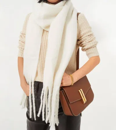 Hat Attack Chic Solid Scarf In Winter White