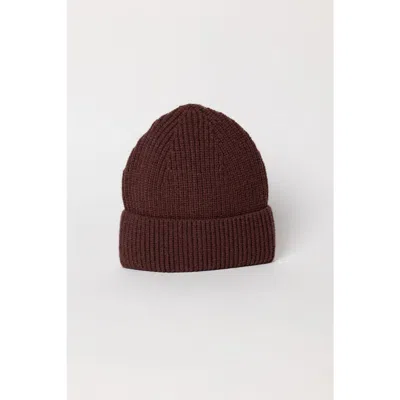 Hat Attack Epic Beanie In Brown
