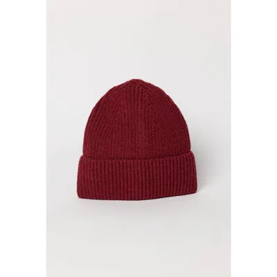 Hat Attack Epic Beanie In Brown