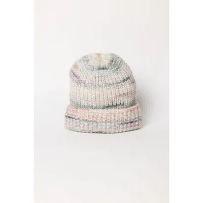 Hat Attack Prism Beanie In Brown