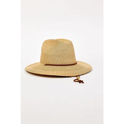 Hat Attack Willow Mini Surfer In Gold
