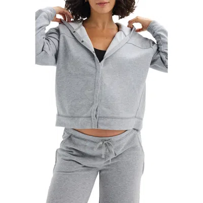 Hatch Collection The Zoey Nursing Hoodie In Gray
