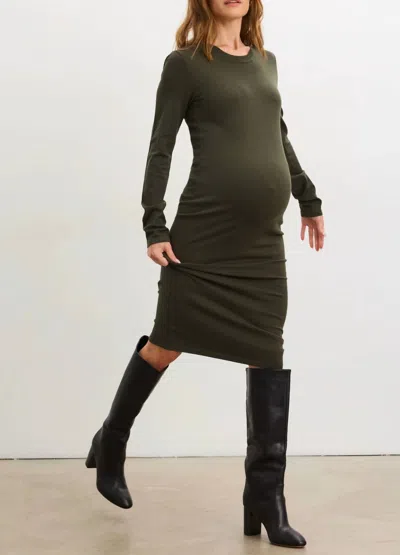 Hatch Softsculpt Knit Long Sleeve Eliza Dress In Spruce In Green