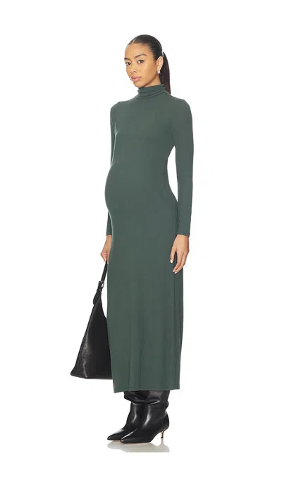 Hatch The Softest Rib Turtleneck Dress In Juniper