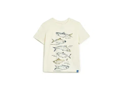 Hatley Graphic T-shirts (toddler/little Kid/big Kid) Boy's T Shirt Cami Lace 2 : 5 (little Kid), Cotton In Neutral
