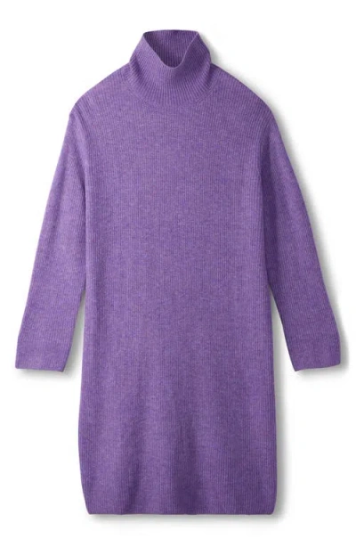 Hatley Iris Turtleneck Sweater Dress In Purple