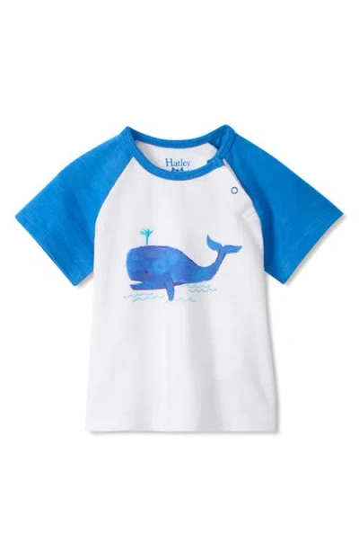 Hatley Babies'  Kids' Spouting Whale Graphic Baseball T-shirt In Blue