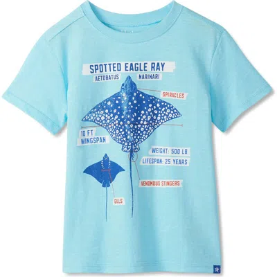 Hatley Babies'  Kids' Stingray Cotton Graphic T-shirt In Blue