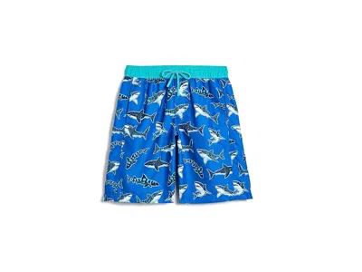Hatley Swim Trunks (toddler/little Kid/big Kid) Boy's Swimwear Daphne : 7 (big Kid), Polyester In Blue