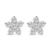 Haus Of Brilliance 10k Gold 1/2 Cttw Lab Grown Diamond Star Stud Earrings In White