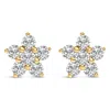 Haus Of Brilliance 10k Gold 1/2 Cttw Lab Grown Diamond Star Stud Earrings In Yellow