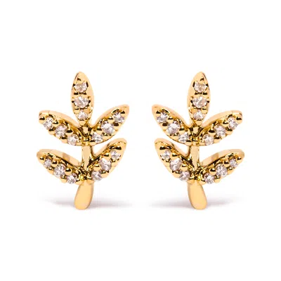 Haus Of Brilliance 10k Yellow Gold 1/10 Cttw Diamond Accented Leaf And Branch Stud Earrings