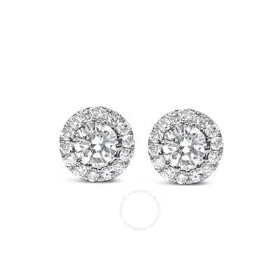Haus Of Brilliance 14k White Gold 3.0 Cttw Lab-grown Diamond Hidden Halo Stud Earrings