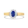 Haus Of Brilliance 14k Yellow Gold 1/5 Cttw Round Diamond And 6x4mm Oval Blue Tanzanite Halo Ring In Yellow