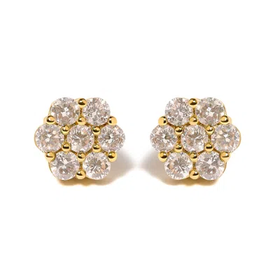 Haus Of Brilliance 14k Yellow Gold 3.0 Cttw Diamond Floral Cluster Stud Earring