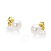 HAUS OF BRILLIANCE HAUS OF BRILLIANCE 14K YELLOW GOLD ROUND FRESHWATER AKOYA CULTURED 6.5-7MM PEARL STUD EARRINGS AAA+ 