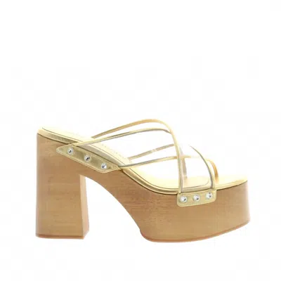 Haus Of Honey Women's Connie Clogs In Transparent In Brown