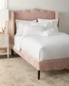 Haute House Annabelle Queen Bed In Blush