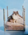 Haute House Jaiga Poster Pet Bed In Gray/beige