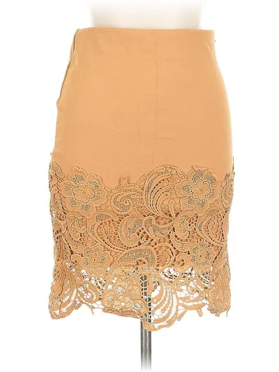 Pre-owned Haute Monde Casual Skirt In Brown