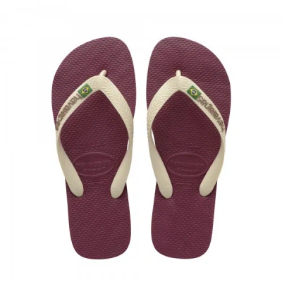 Havaianas Brasil Flip Flops Maroon Bordo In Multi