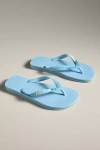 Havaianas Brazil Logo Sandals In Blue