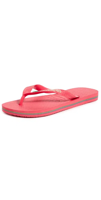 Havaianas Brazil Logo Sandals Tropical Coral In Pink